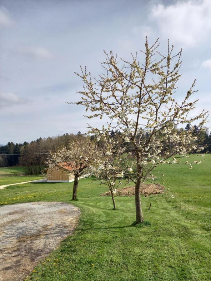 Ferienwohnung Am Dreiseithof Hauzenberg Εξωτερικό φωτογραφία