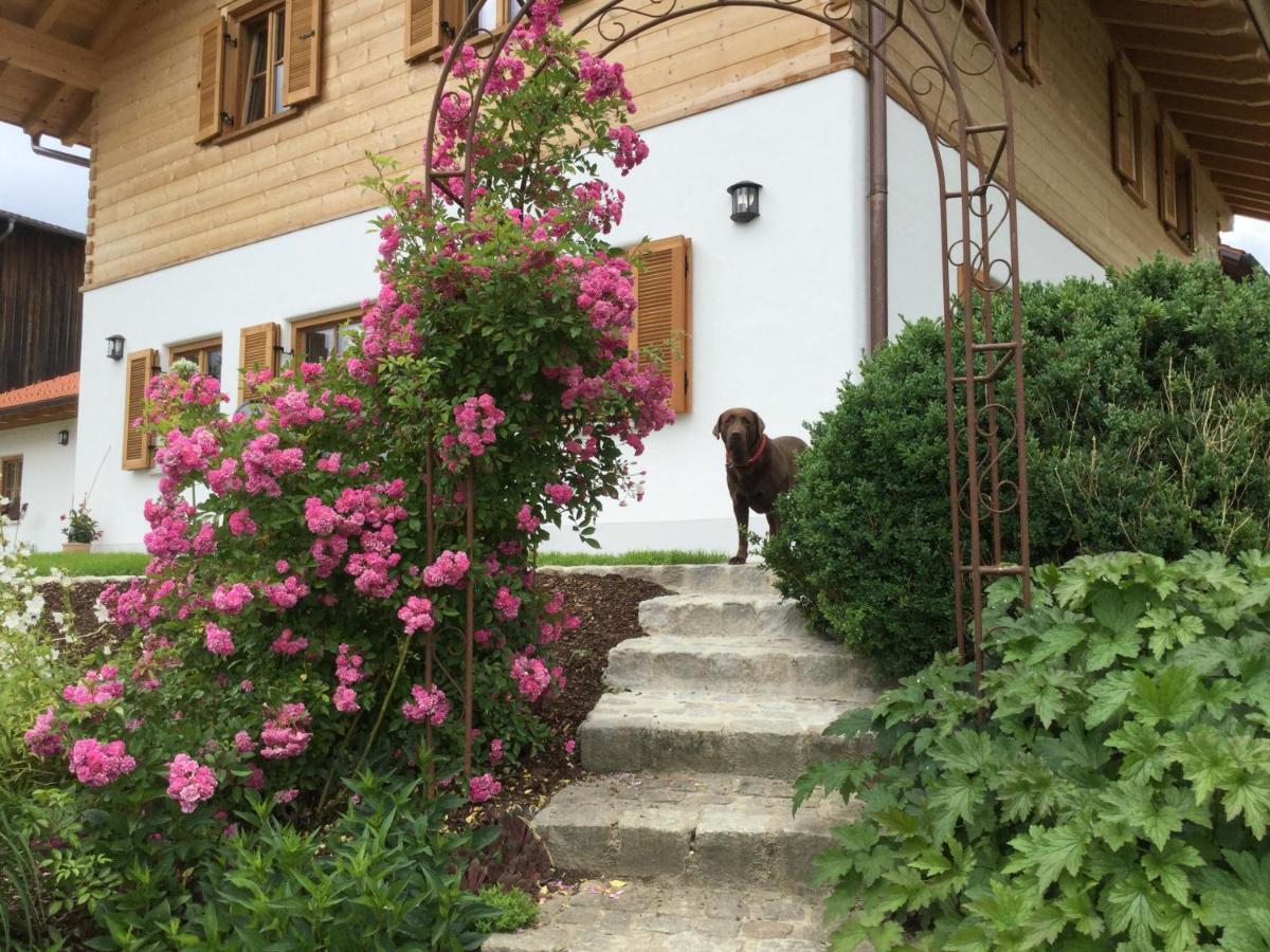 Ferienwohnung Am Dreiseithof Hauzenberg Εξωτερικό φωτογραφία